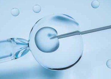 胚胎质量不好一般几周会胎停看这里，不见红就没事不可信