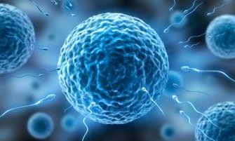 三代试管婴儿费用大约多少成本因计划而异