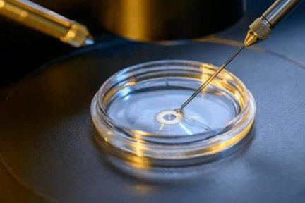 死精率80%的男性可以在阳江市做三代试管吗？公开2026做三代试管条件