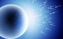 做了结扎手术可以在南平市试管医院做试管婴儿吗？费用是多少