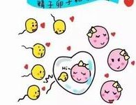 南阳方城县可以做试管婴儿吗，南阳方城县可以做试管婴儿吗多少钱