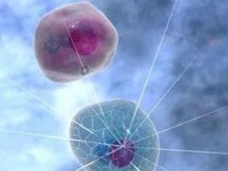 2026在临清市做基因检测多少钱？基因筛查可以规避哪些遗传病？