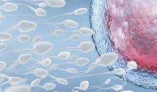 2026邵阳市中心医院试管费用大揭秘！助孕花销一看就懂！